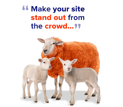 Make your website stand out from the crowd